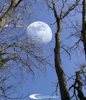 image-3222675070.webp