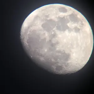 moon.webp