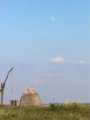 image-4019037836.webp