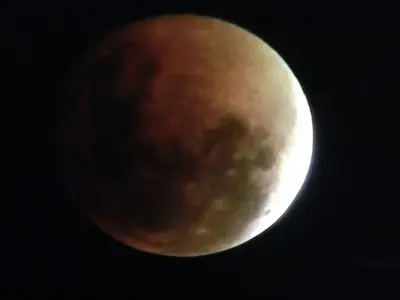 image-1504005889.webp