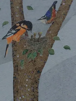 image-1601759911.webp