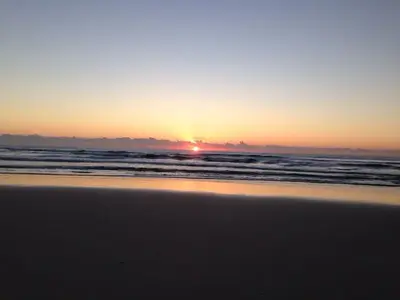 image-2472430925.webp