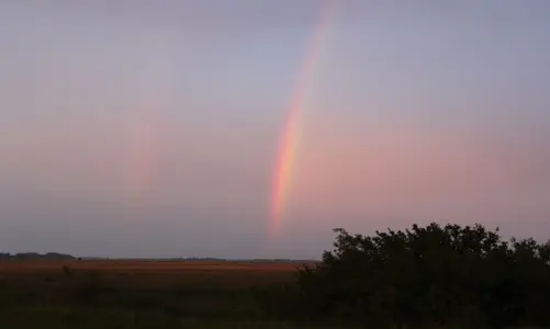 image-2619382880.webp