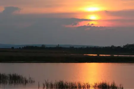 image-3599020092.webp