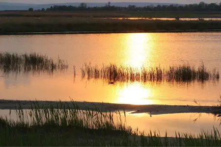 image-1308864765.webp