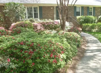 HouseC4_14.webp