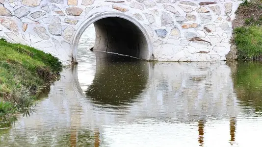 image-8429915.webp
