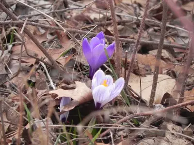 image-3319654542.webp
