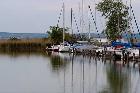 image-1682258532.webp