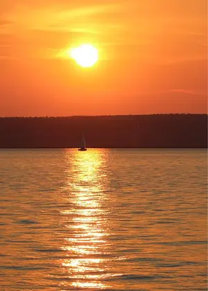 image-3517385612.webp
