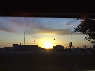 image-2834335773.webp