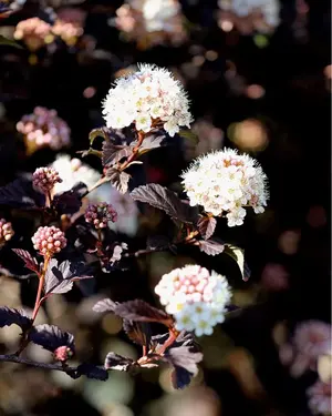 image-45628880.webp