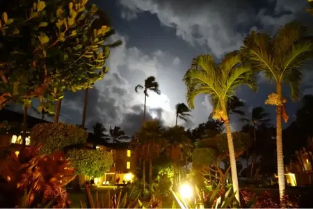 image-844892257.webp