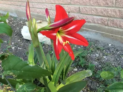 image-959465088.webp