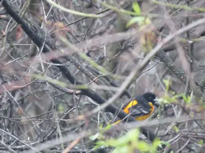 image-1092550406.webp