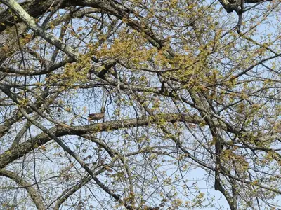 image-3761272163.webp