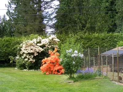 image-439881519.webp