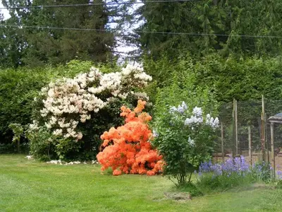 image-2513579791.webp