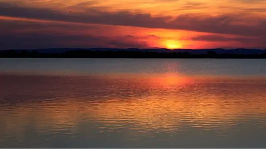 image-1160987257.webp