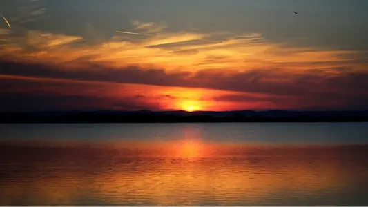 image-239150645.webp