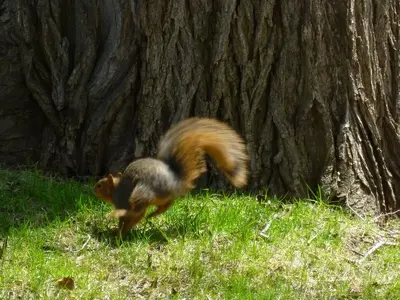 image-4261643213.webp