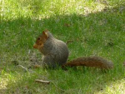 image-3345888238.webp