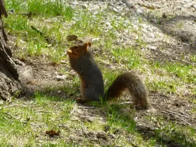 image-3285575809.webp