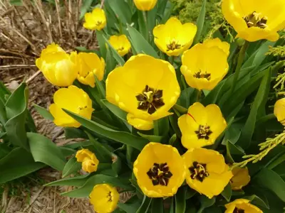image-1954381881.webp