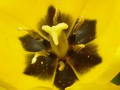 image-1699000571.webp