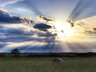 image-1933364607.webp