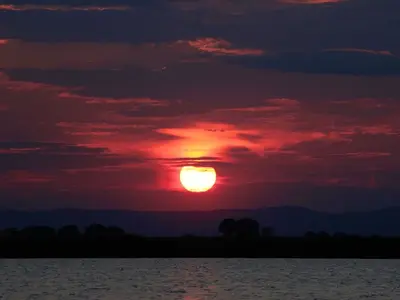 image-591419472.webp