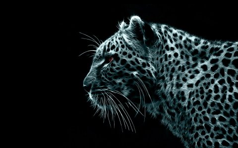 3d-panther-with-black-background-hd-wallpapers-1680-x-1050-www.fun54.com_.jpg