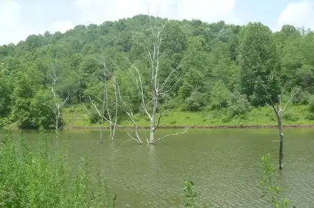SWJacksonLake.webp