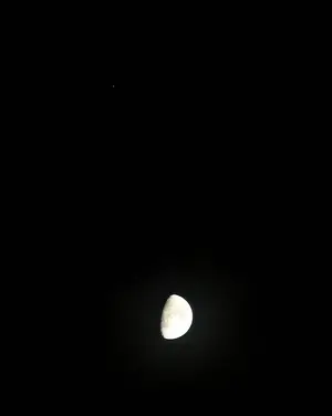 image-2106466241.webp