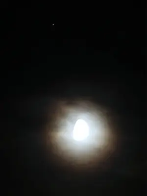 image-210846967.webp