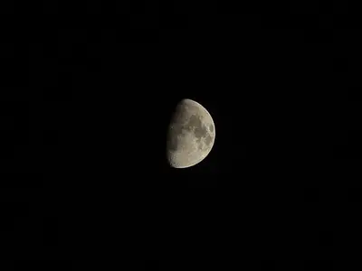 image-726645356.webp