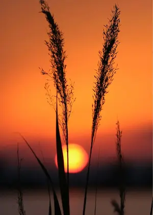 image-1279168163.webp