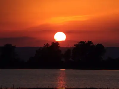 image-1771011042.webp