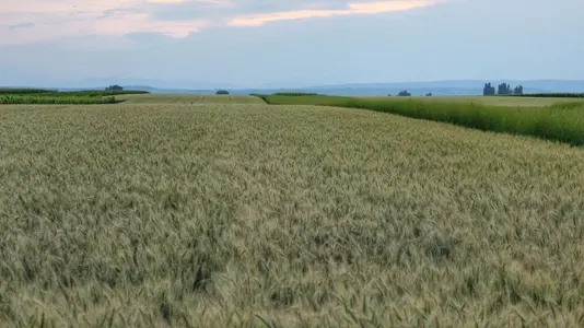 image-653191068.webp