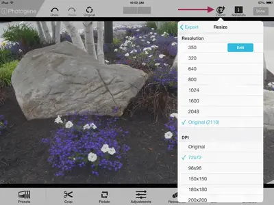 Photogene.webp