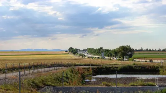 image-1000918149.webp