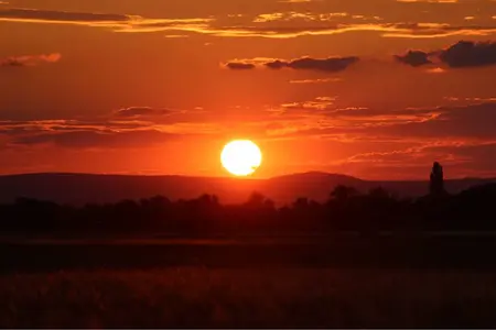 image-3220186839.webp
