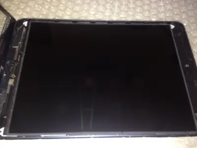 foto 1.webp