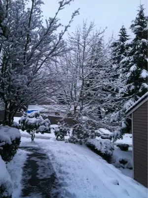 image-1960317511.webp