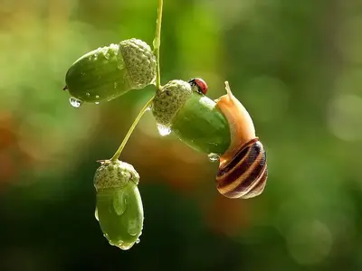image.webp