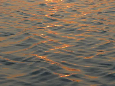 image.webp