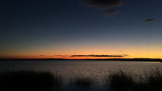 image.webp