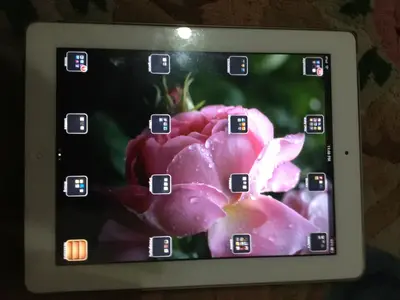 image-3078290060.webp