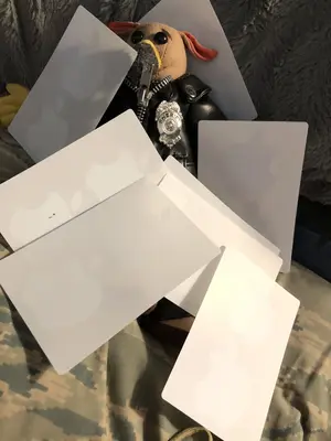 75055B88-ECE4-43CD-B85E-7A5977DBC01C.webp 75055B88-ECE4-43CD-B85E-7A5977DBC01C.webp