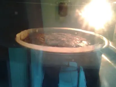 image-1702847123.webp
